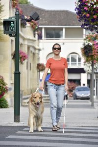 Blinde vrouw steekt de straat over met hulp van een blindengeleidehond 