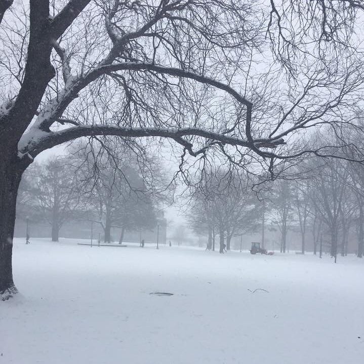 Winter in Loudonville (NY)